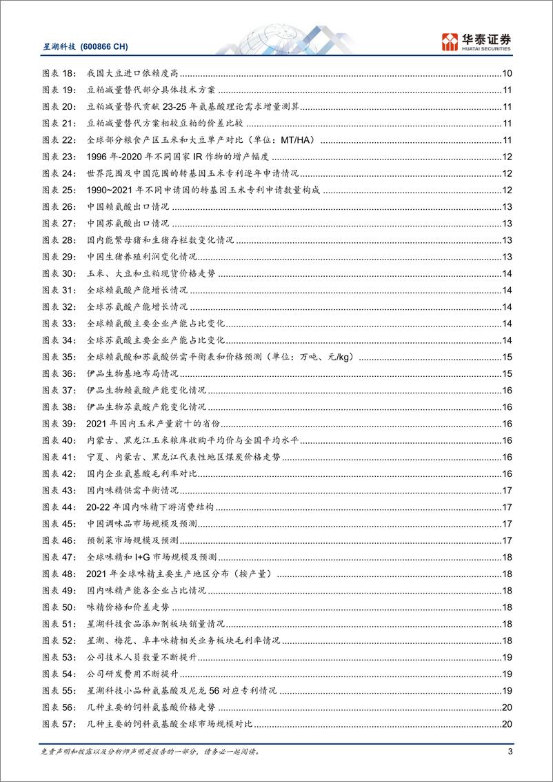 《星湖科技(600866)氨基酸供需共振，加码合成生物-240715-华泰证券-28页》 - 第3页预览图