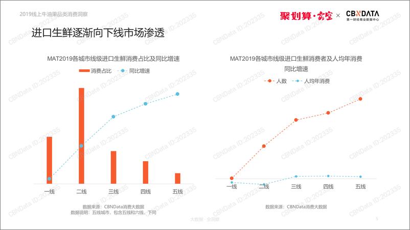 《2019线上牛油果品类消费洞察报告》 - 第5页预览图