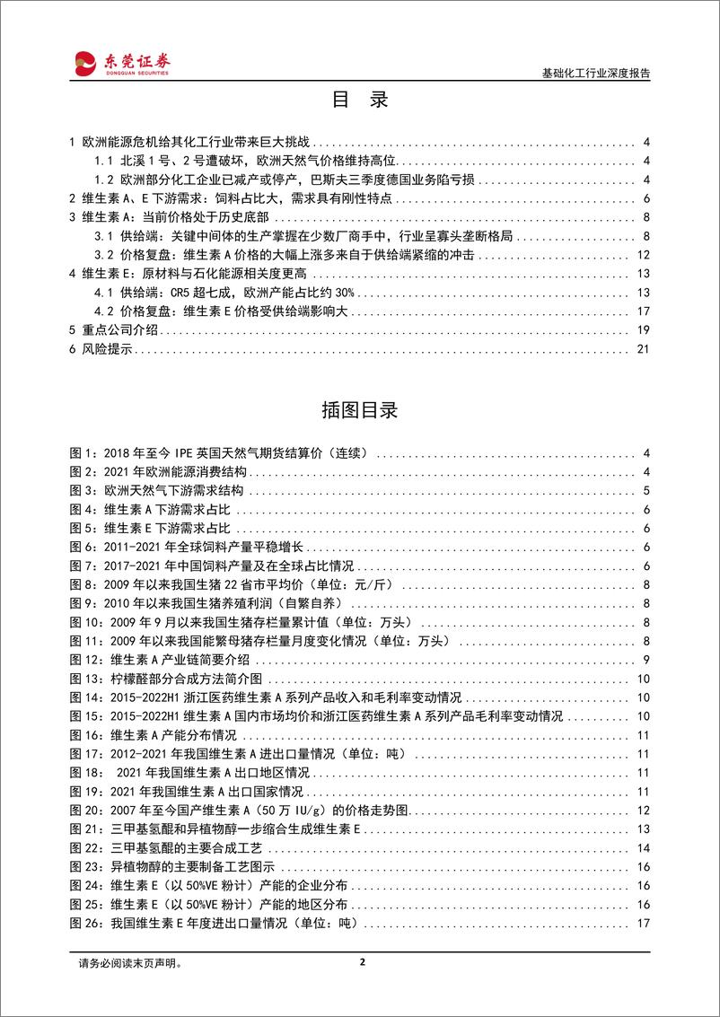 《基础化工行业深度报告：欧洲能源危机发酵，关注欧洲产能占比高的维生素品种-20221031-东莞证券-22页》 - 第3页预览图