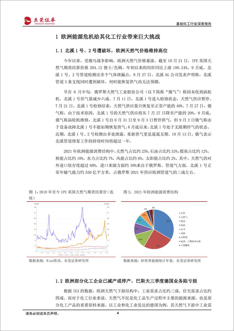 《基础化工行业深度报告：欧洲能源危机发酵，关注欧洲产能占比高的维生素品种-20221031-东莞证券-22页》 - 第5页预览图