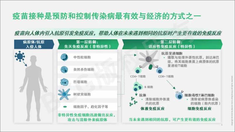 《BCG+中国疫苗行业重塑在即，机遇与挑战共存-29页》 - 第3页预览图