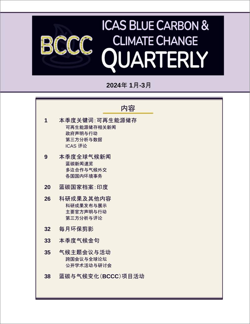 《蓝碳与气候变化主题研究(1)》 - 第3页预览图