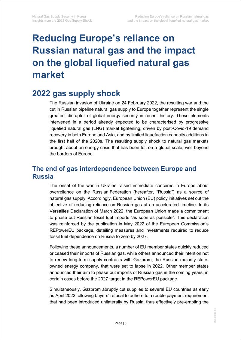 《国际能源署-韩国天然气供应安全（英）-2024-70页》 - 第5页预览图