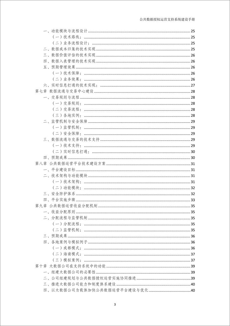 《2024年公共数据授权运营支持系统建设手册》 - 第3页预览图