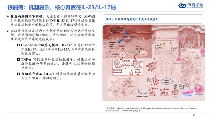 《华福证券-自身免疫疾病行业系列报告-一-：银屑病：结构性错位修复，看好IL抑制剂成长潜力》 - 第8页预览图