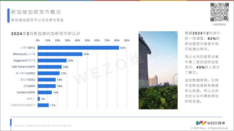 《维卓-2024新加坡加密货币市场-29页》 - 第8页预览图