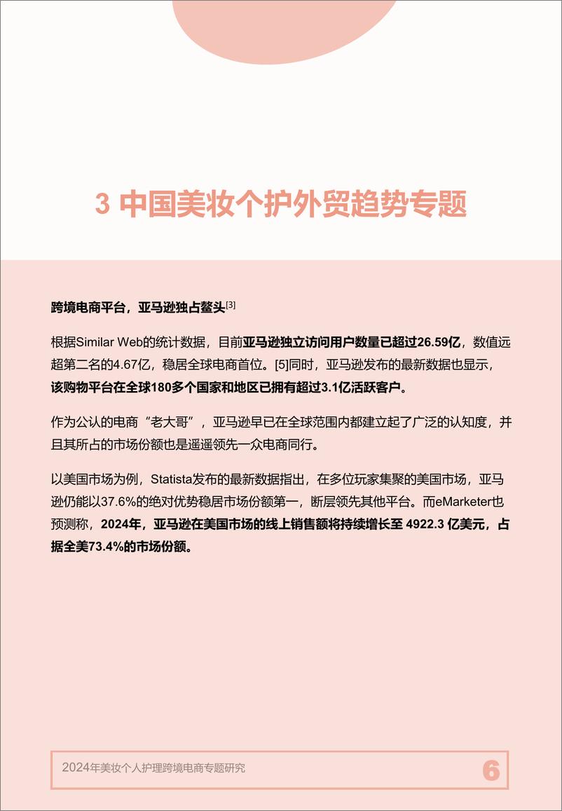 《2024年＋美妆个人护理跨境电商专题研究-13页》 - 第6页预览图