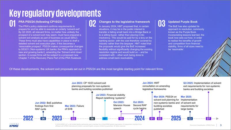 《毕马威：2024溶剂出口和分辨率的扩展范围报告（英文版）》 - 第3页预览图