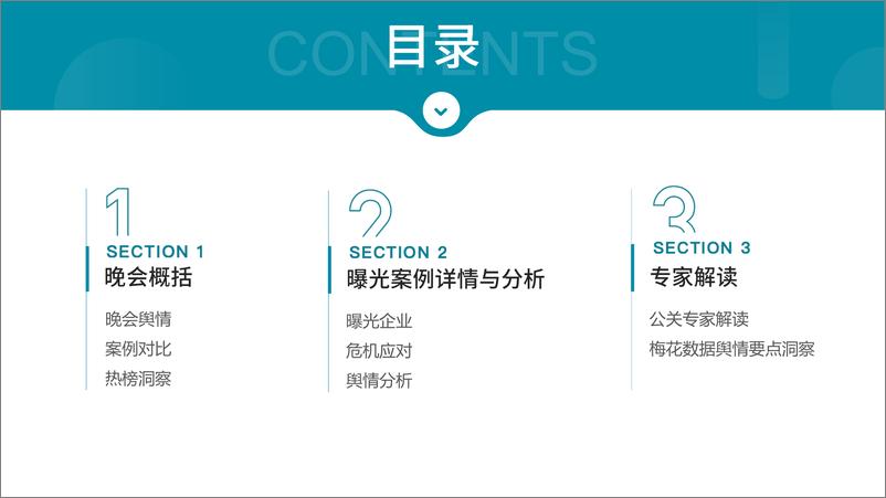 《梅花数据：2024年3.15晚会案例总结报告》 - 第3页预览图