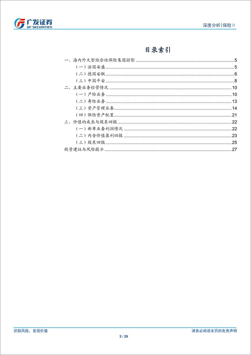 《保险行业：国内大型险企发展的海外借鉴，稳定股东回报，充分发挥机构投资者优势-20190718-广发证券-29页》 - 第4页预览图