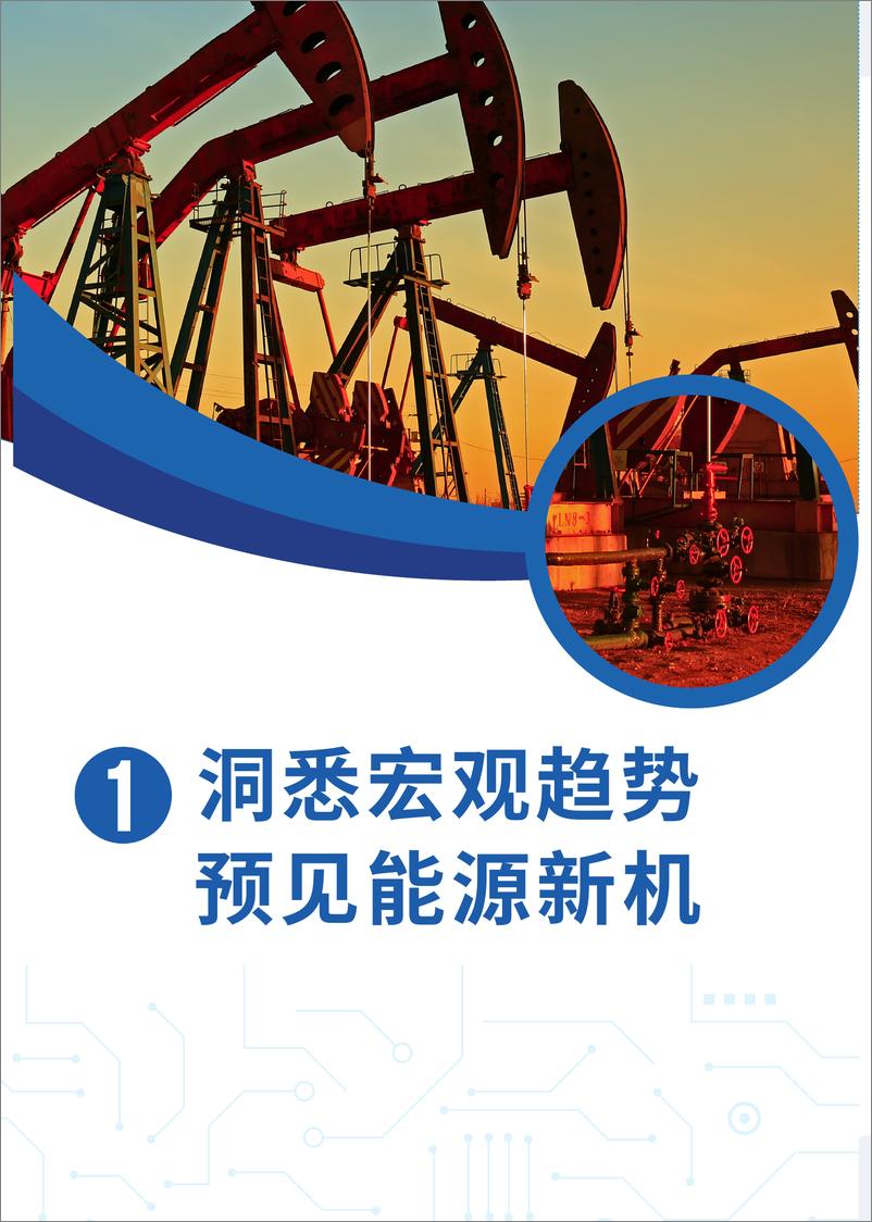 《数字化转型智造未来——石油石化行业数字化转型白皮书》-68页 - 第5页预览图