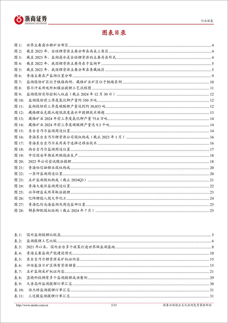 《锂行业深度报告_破冰寻锂系列1_中国盐湖集团成立_青海盐湖迎来发展新台阶》 - 第3页预览图