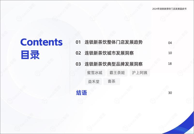 《GeoQ智图：2024年连锁新茶饮门店发展蓝皮书-34页》 - 第3页预览图