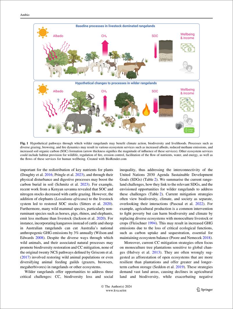 《荒野牧场作为自然气候机遇：将气候行动与生物多样性保护和社会转型联系起来》 - 第5页预览图