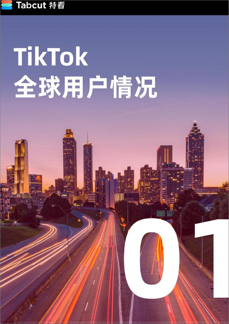 《TikTok Shop 2024年度报告-特看-2024-65页》 - 第3页预览图