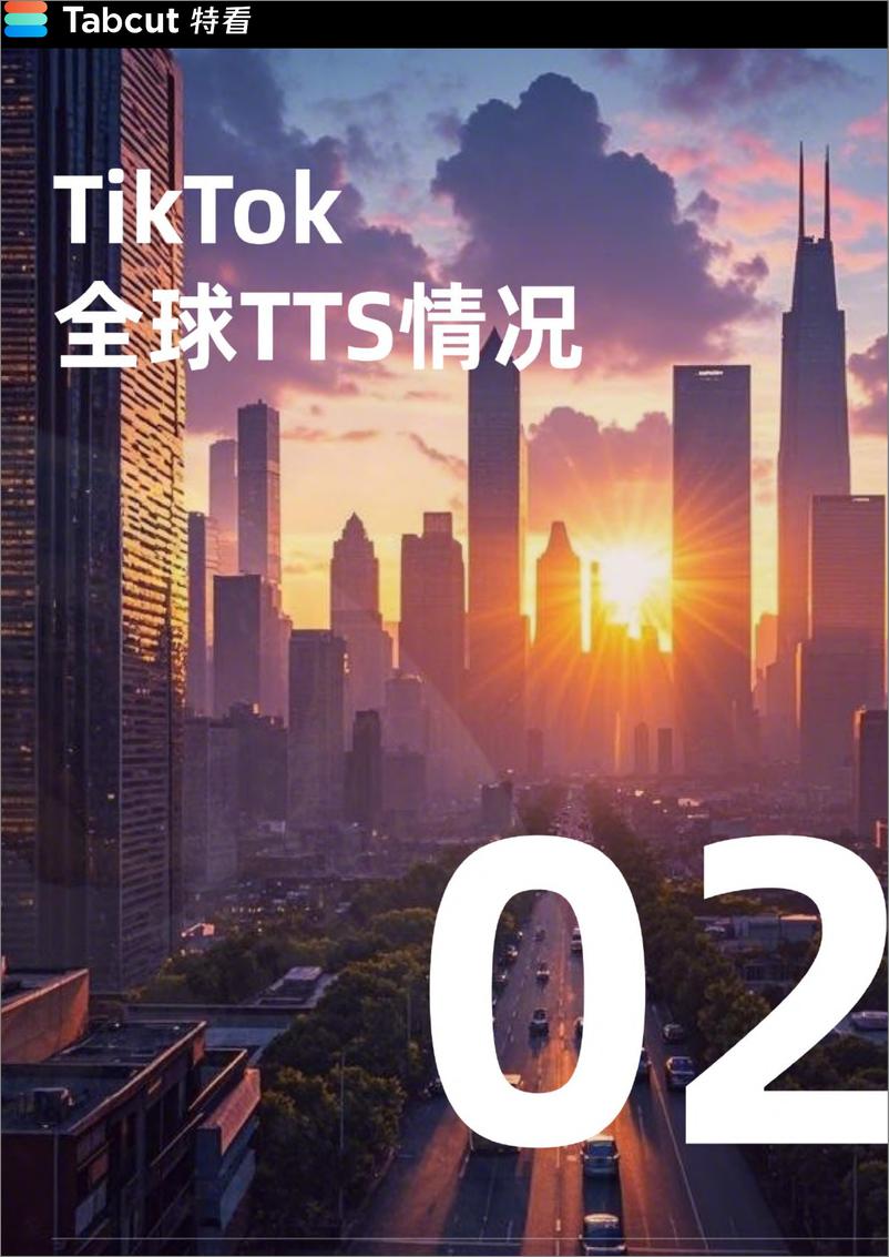 《TikTok Shop 2024年度报告-特看-2024-65页》 - 第5页预览图