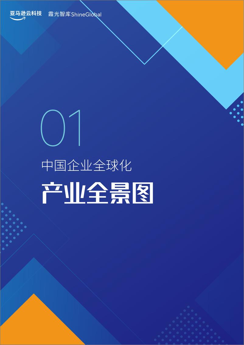 《2013~2023中国企业全球化发展报告-84页》 - 第5页预览图