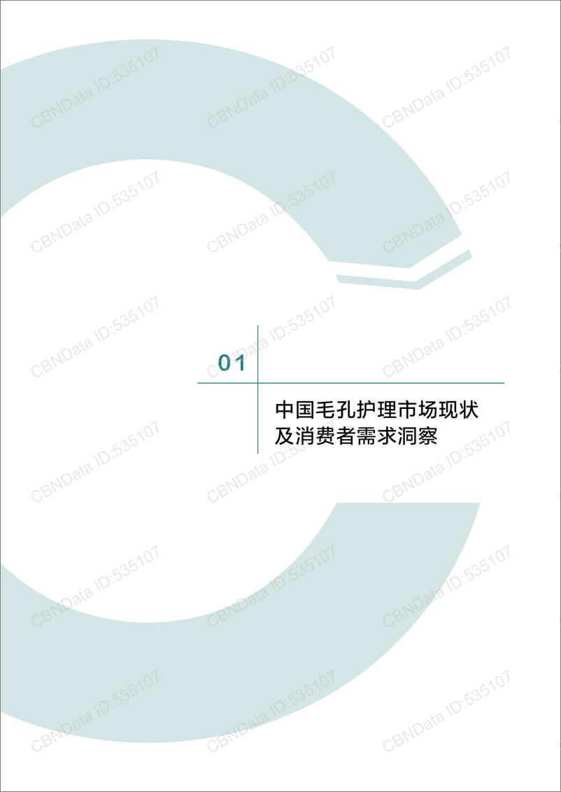 《科瑞肤&北京工商大学_2024年国人毛孔粗大表征研究及护理指南报告》 - 第5页预览图