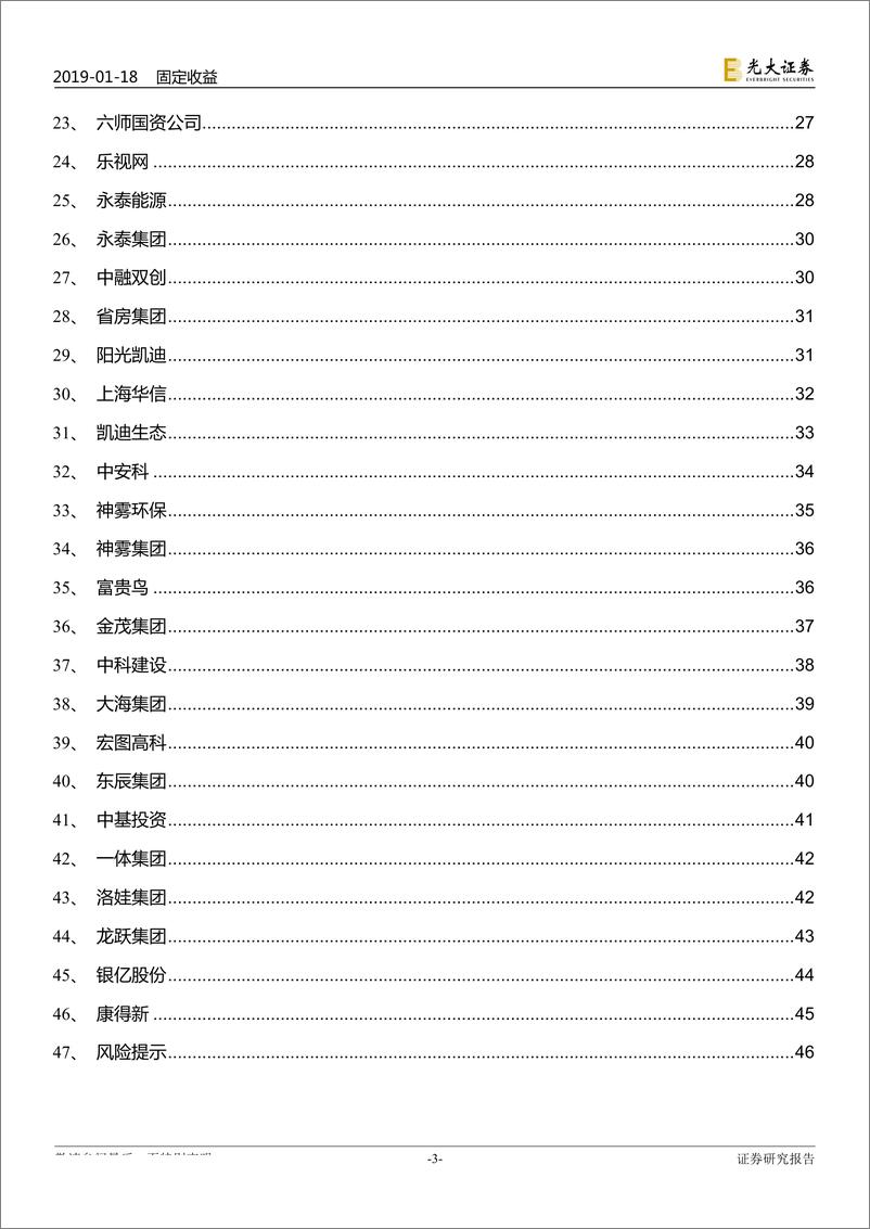 《债券违约专题研究之五：2018年债券违约事件全梳理（完整版）-20190118-光大证券-48页》 - 第4页预览图