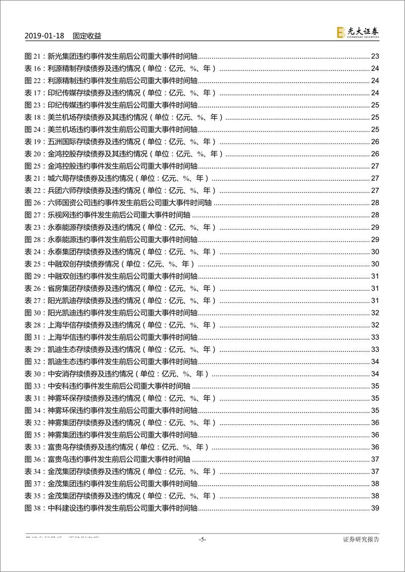 《债券违约专题研究之五：2018年债券违约事件全梳理（完整版）-20190118-光大证券-48页》 - 第6页预览图