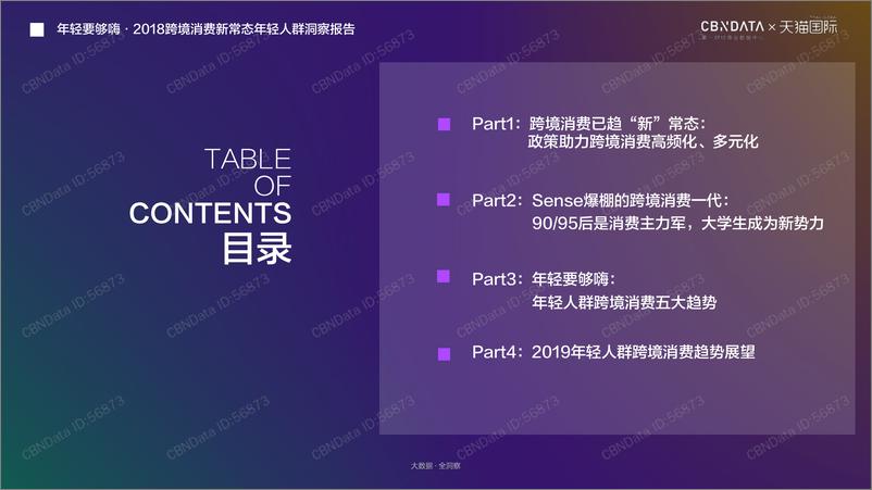 《2018跨境消费新常态年轻人群洞察报告》 - 第2页预览图