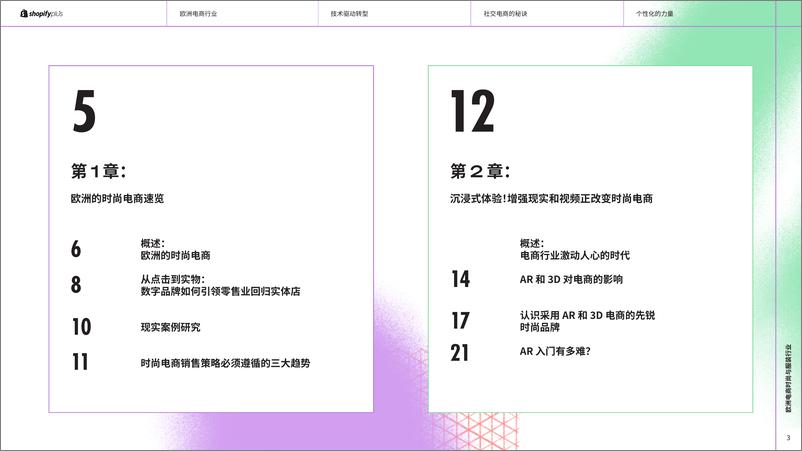 《shopifyplus_欧洲电商时尚与服装行业的制胜策略报告》 - 第3页预览图