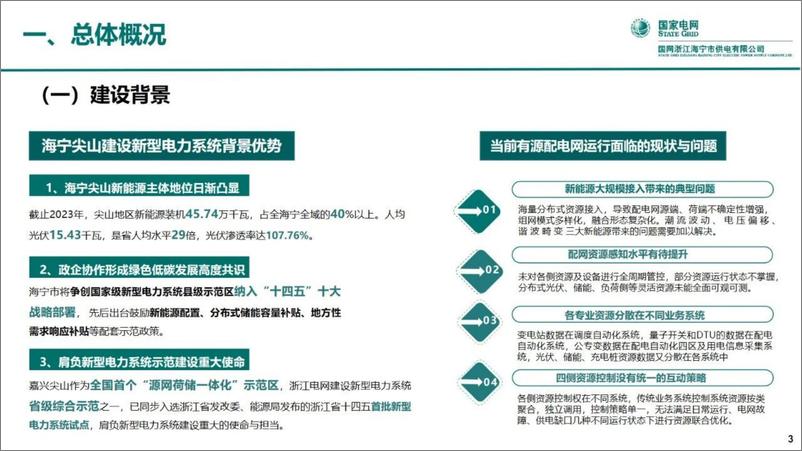 《分布式电源高渗透率县域源网荷储协同互动示范》 - 第3页预览图