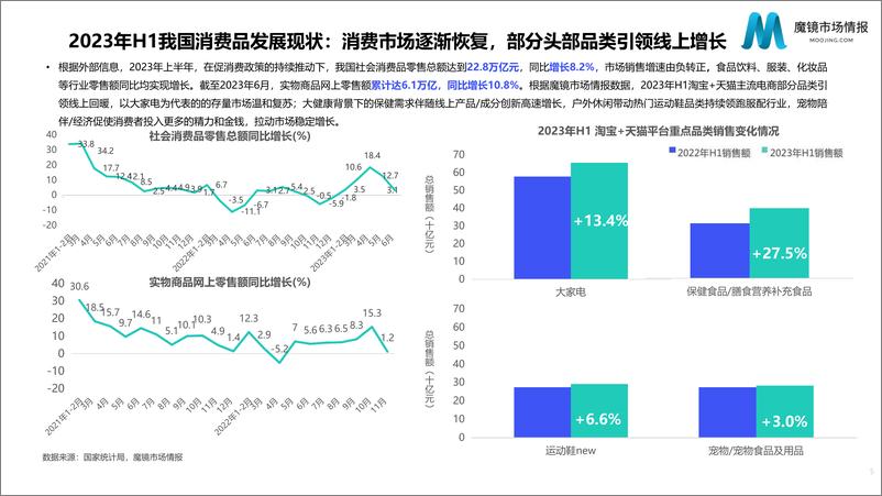 《2023年H1魔镜消费新潜力白皮书-魔镜市场情报-2023-105页》 - 第6页预览图