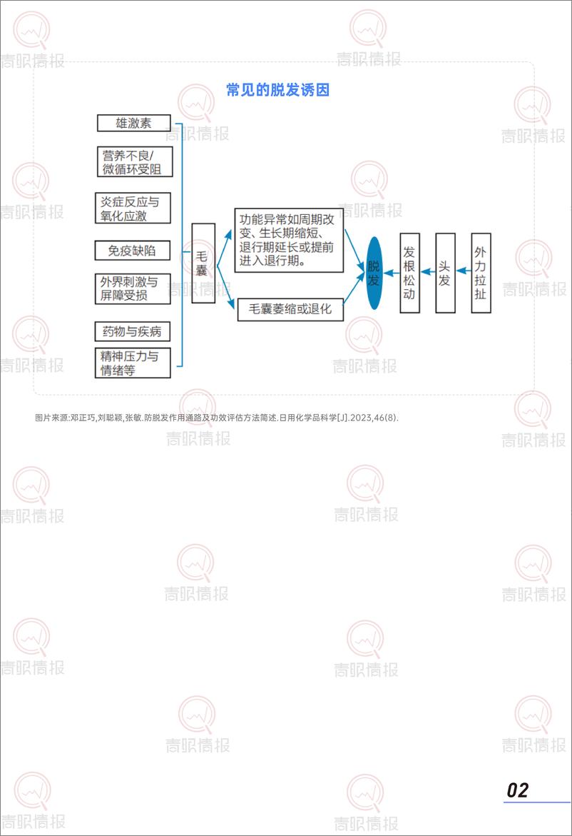 《青眼情报_2025年防脱洗护行业消费者洞察报告》 - 第4页预览图