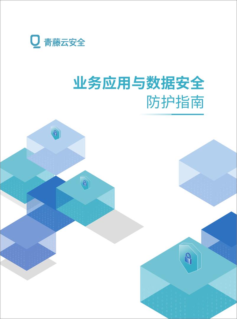 《2025年业务应用与数据安全防护指南报告》 - 第1页预览图