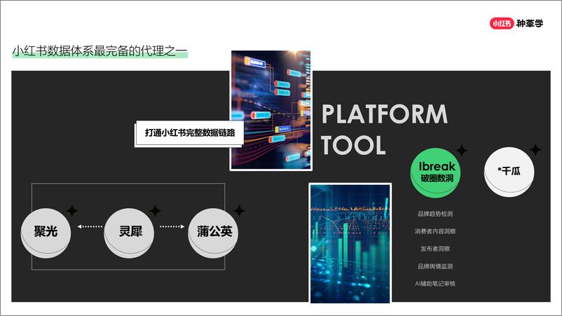 《【小红书课件】品牌如何破圈_在小红书细看人群-1722478070651》 - 第6页预览图