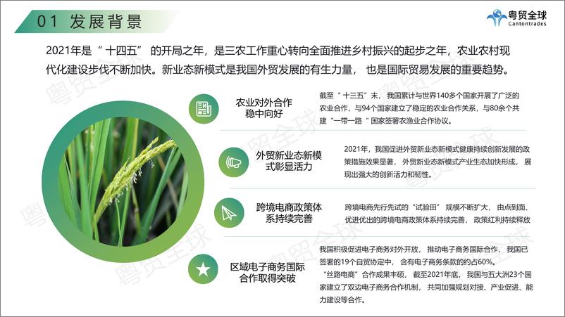 《粤贸全球：中国农产品跨境出海调研报告-30页》 - 第5页预览图