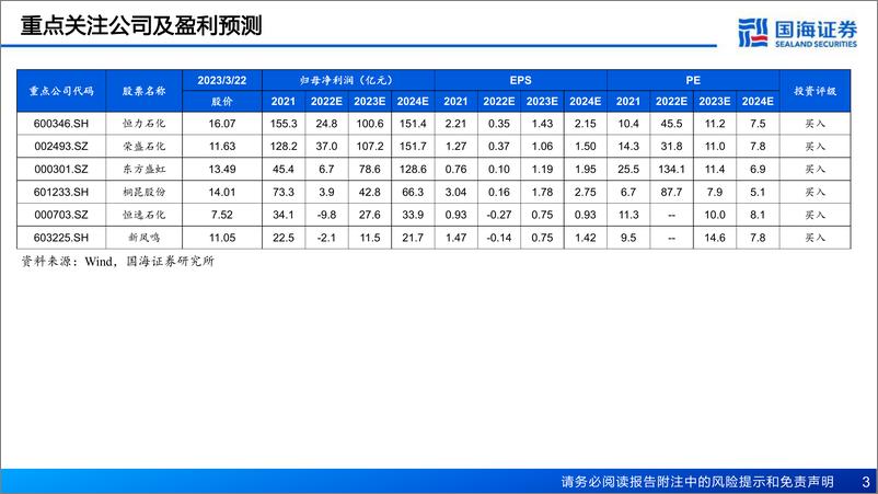 《民营炼化行业深度报告之四：周期复苏可期，成长加速落地-20230323-国海证券-54页》 - 第4页预览图