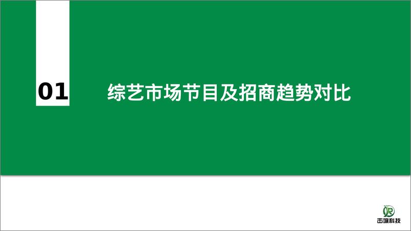 《2024年 H1综艺广告大盘报告-1722478236080》 - 第3页预览图