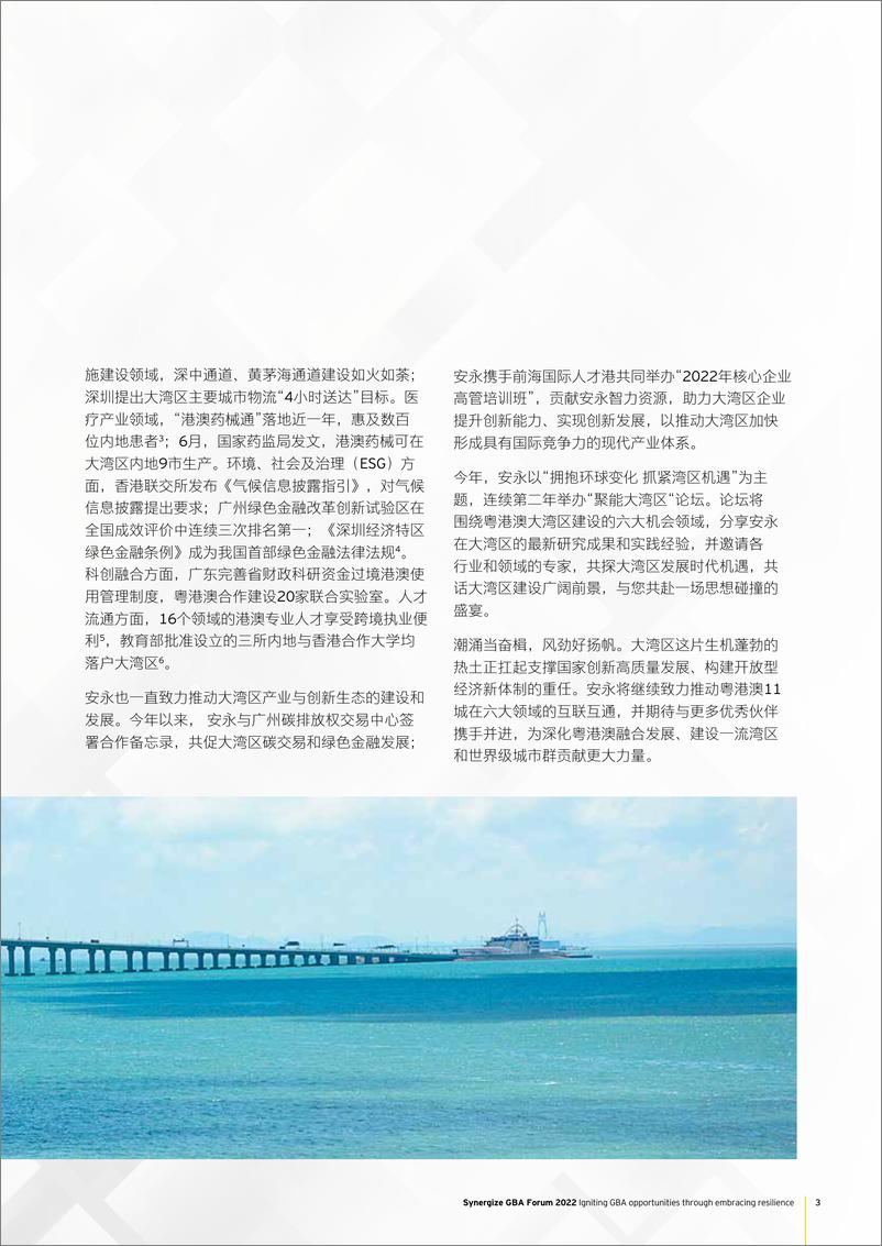 《安永-“2022聚能大湾区论坛”纪念特刊-132页-WN9》 - 第5页预览图