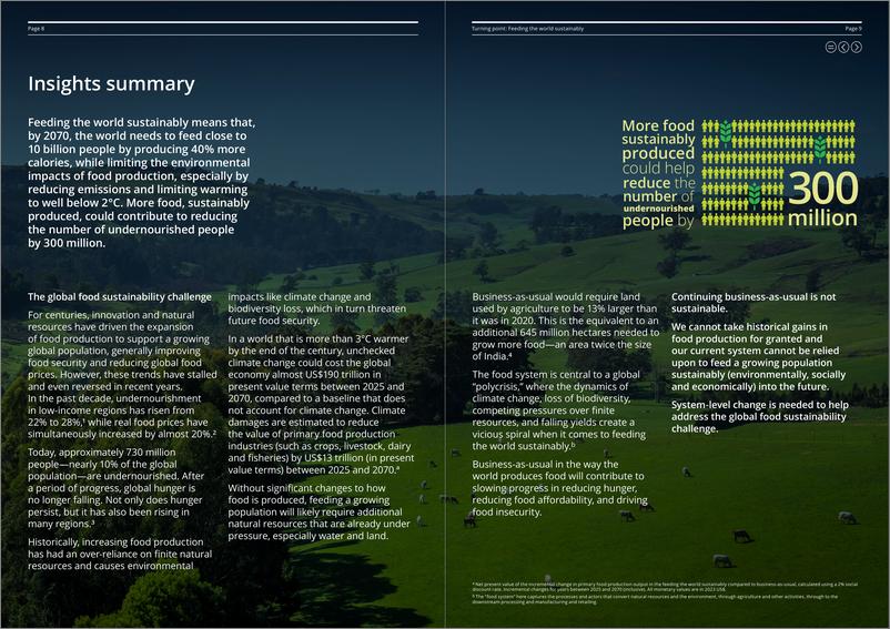 《转折点——迈向可持续的全球食品供给》-44页 - 第4页预览图