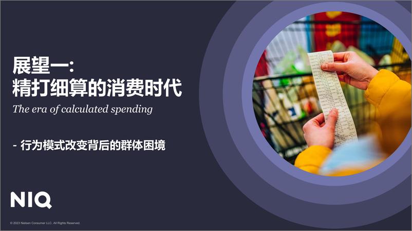 《中国消费者洞察暨2024年展望-2024年中国快消品市场五大趋势-尼尔森》 - 第8页预览图