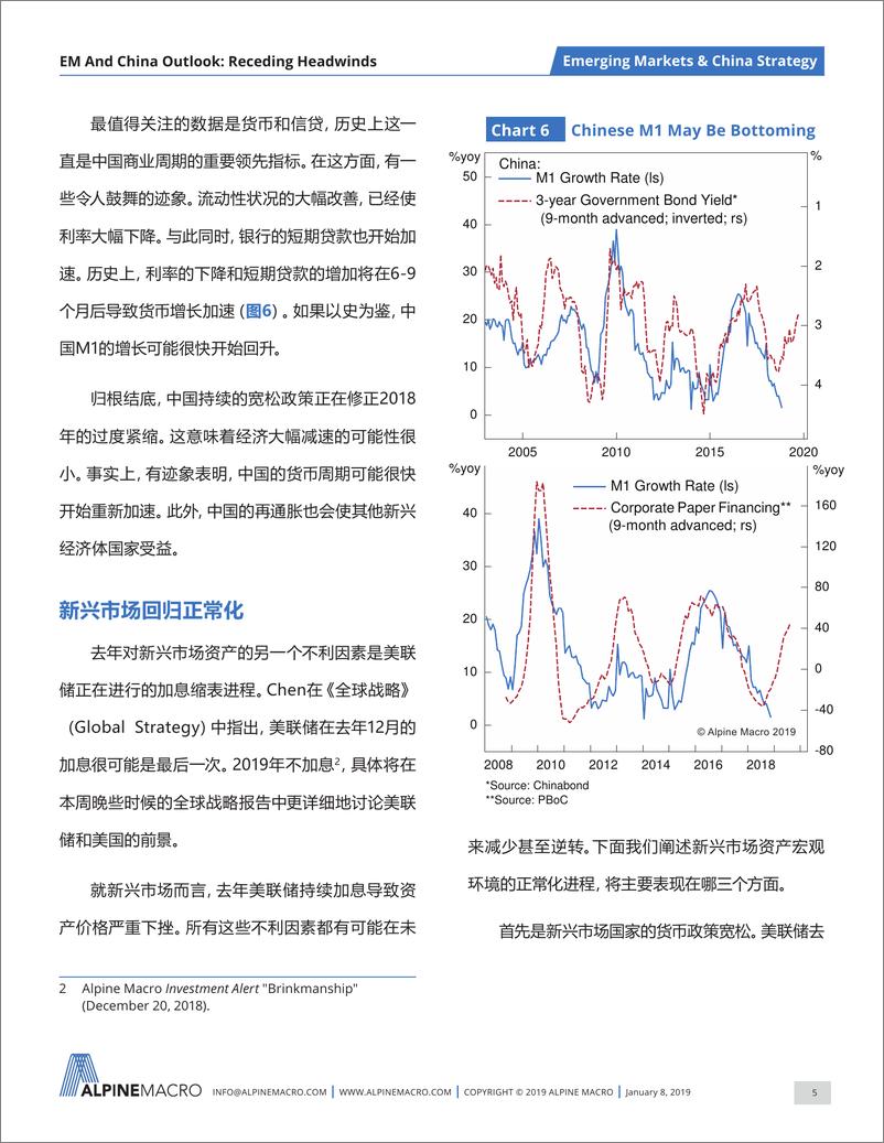 《Alpinemacro-新兴市场与中国2019展望-2019.1-26页》 - 第6页预览图