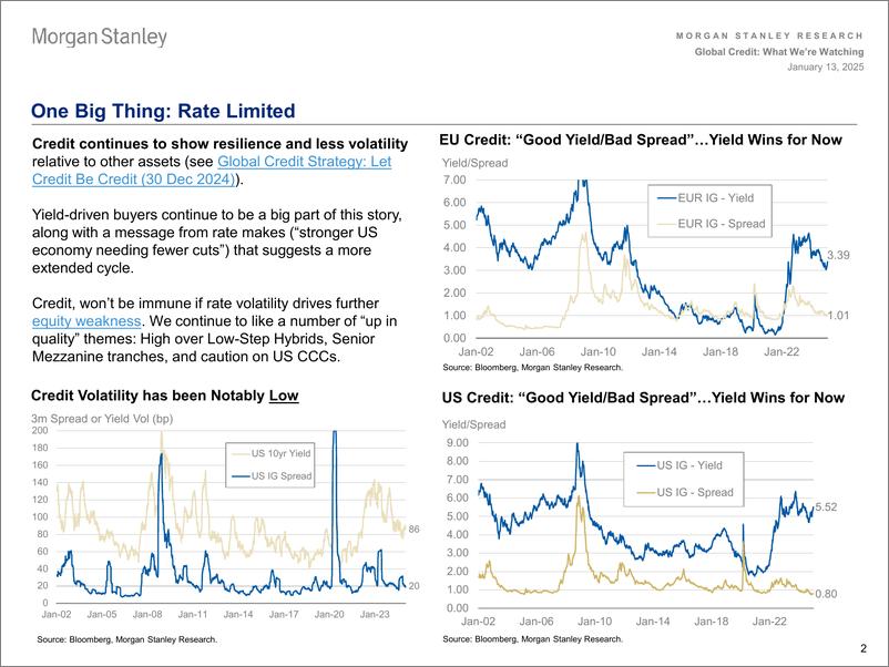 《Morgan Stanley Fixed-Global Credit Strategy What Were Watching-112784057》 - 第2页预览图