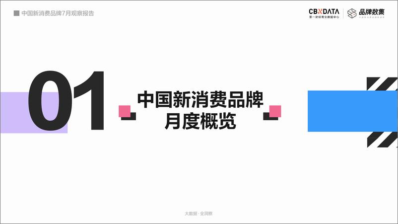 《中国新消费品牌7月观察报告》 - 第5页预览图