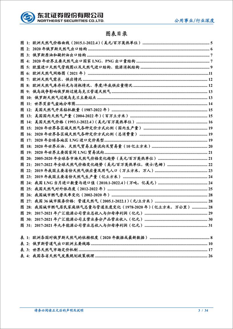 《公用事业行业国内外天然气总结与展望：国际天然气高位震荡，国内市场长期向好-20220606-东北证券-34页》 - 第4页预览图