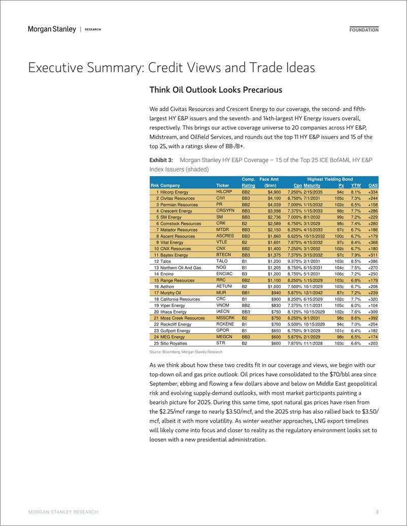 《Morgan Stanley Fixed-Energy Credit Research Initiate Credit Coverage on Crescent...-112653520》 - 第3页预览图