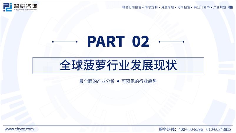 《2023年中国菠萝产业现状及发展前景分析研究报告》 - 第7页预览图