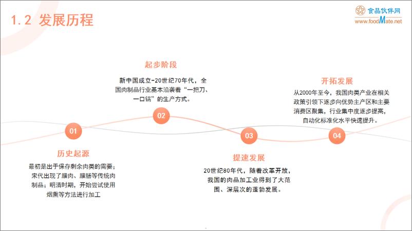 《2024中国肉制品加工业发展报告精简版》 - 第5页预览图