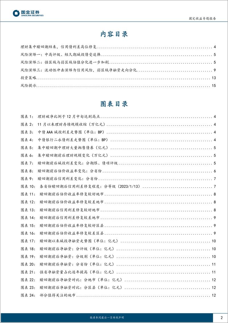 《固收专题分析报告：理财赎回潮下城投债的风险演绎-20230202-国金证券-16页》 - 第3页预览图