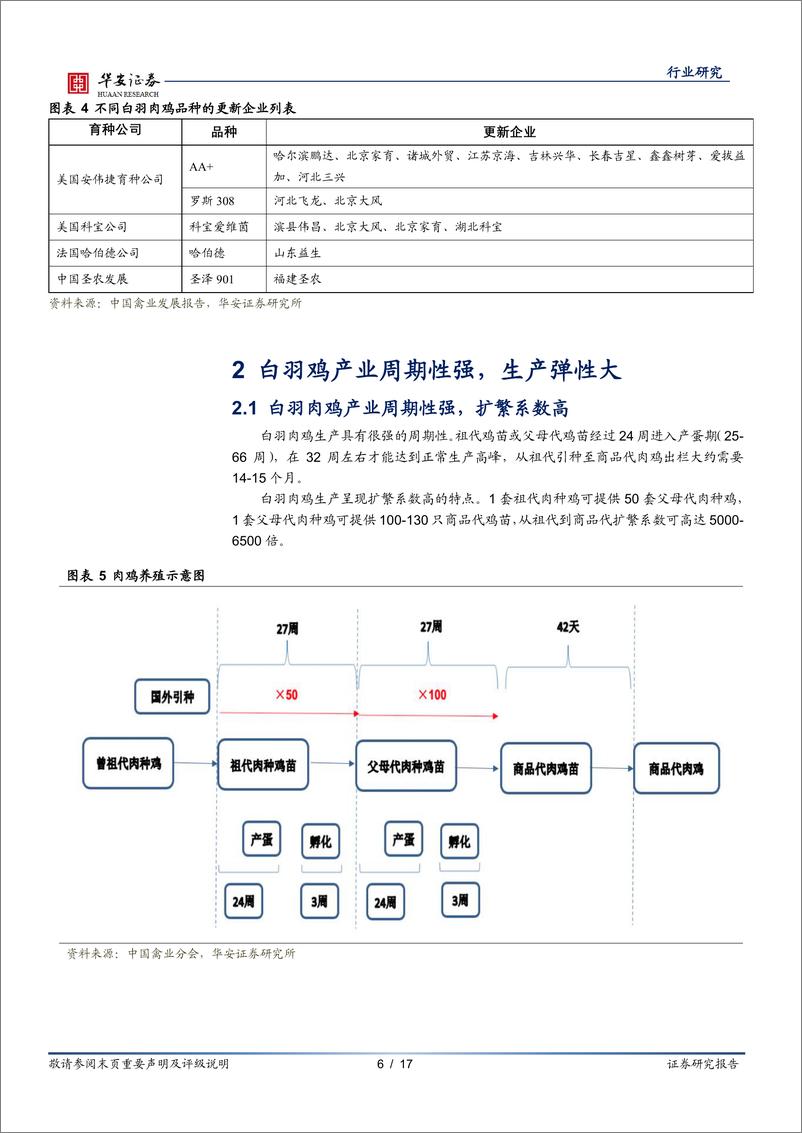 《农林牧渔行业：白羽种源垄断打破，大周期启动仍需观察-20220927-华安证券-17页》 - 第7页预览图