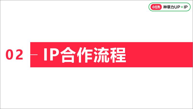 《2024小红书营销IP执行标准》 - 第3页预览图