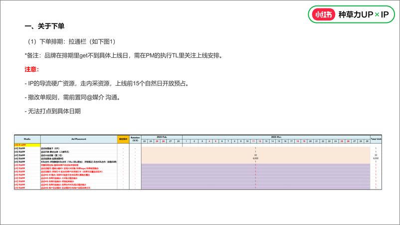 《2024小红书营销IP执行标准》 - 第6页预览图