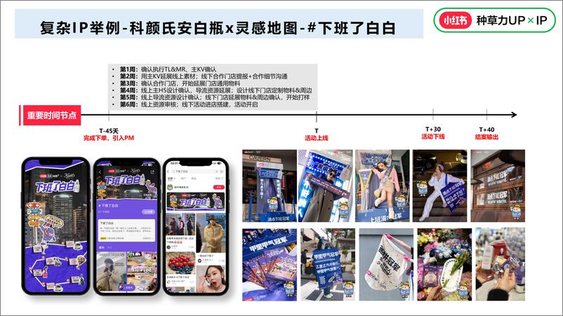 《2024小红书营销IP执行标准》 - 第8页预览图