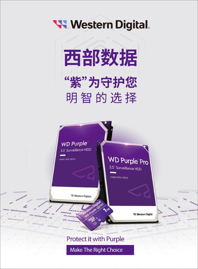 《中安网&西部数据：2023中国安防行业年度盘点报告》 - 第2页预览图